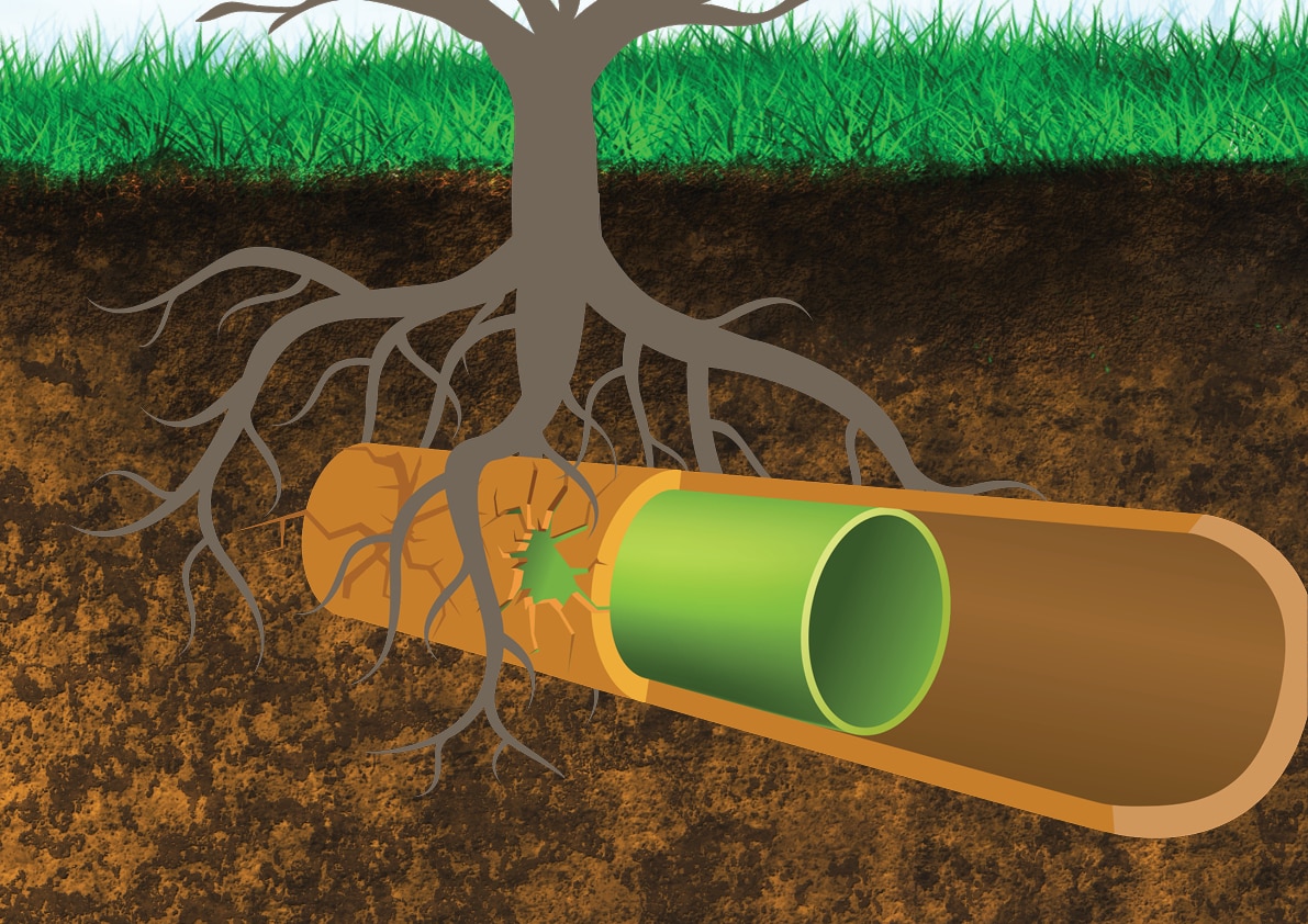 Relining Sewer Drain Pipes