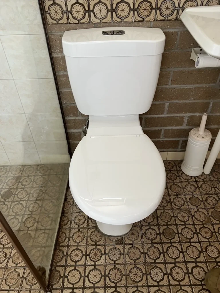A newly installed toilet in Tura Beach