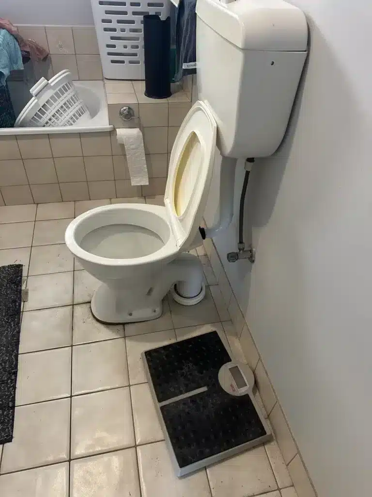 A toilet needing to be unblocked by Eden plumbers