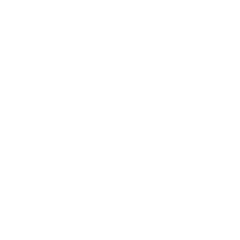 toilet repairs and installations icon