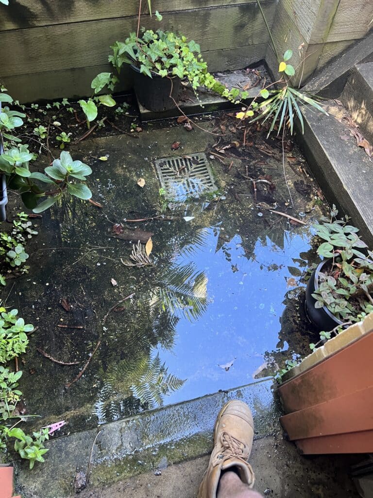 Flooding caused by a burst pipe in Tathra