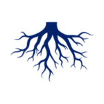 tree root icon