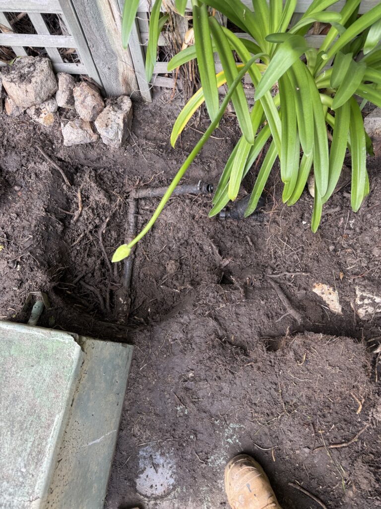 Broken underground pipe exposed in an excavated garden bed during a repair