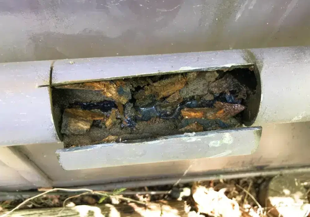 A pipe blocked with tree roots