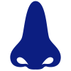 Nose icon