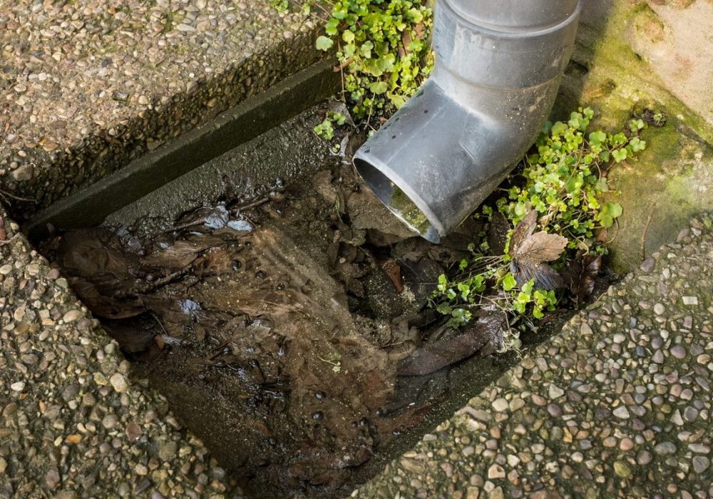 A blocked outdoor rainwater/storm drain in Britain